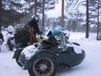 Harley og bikkje